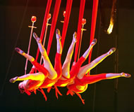 Shanghai Acrobatic Show