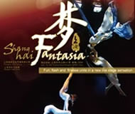 Shanghai Acrobatic Show ERA Intersection of Time